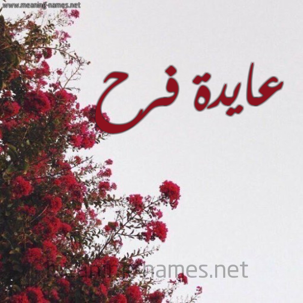 شكل 18 صوره الورد الأحمر للإسم بخط رقعة صورة اسم عايدة فرح AIDA-FARAH